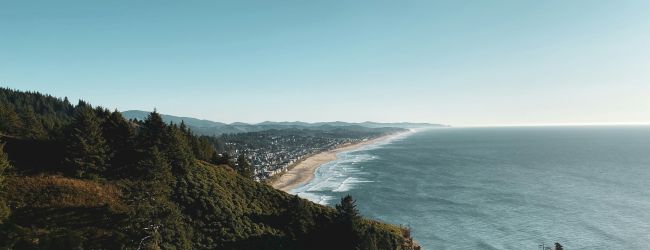 A breathtaking coastline view with rolling forested hills, a sandy beach, and calm ocean waves under a clear blue sky.